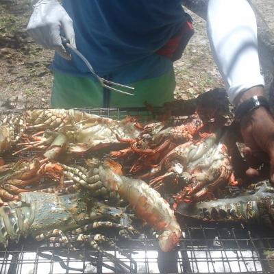 Le Grand Bleu Excursion en mer îles d'Ambre-Bernache