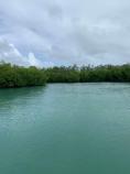 Grand bleu patrick karia Mangrove Poudre d'Or