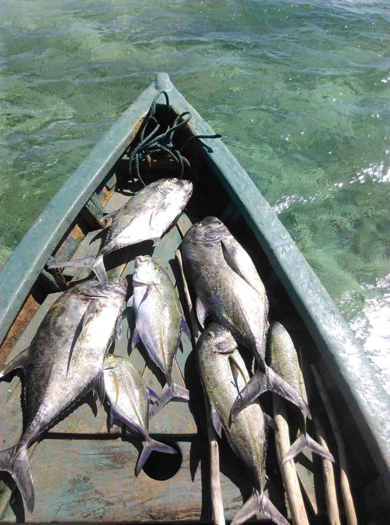 Poisson